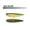 Salty Dog 100 - saltydog100 - lagoon - 10-cm - 20-g-2